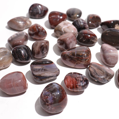 Petrified Wood Tumbles