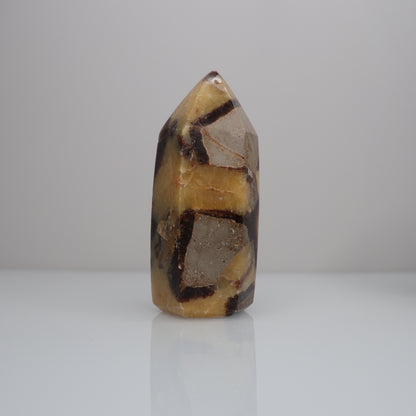 Septarian Tower | 4
