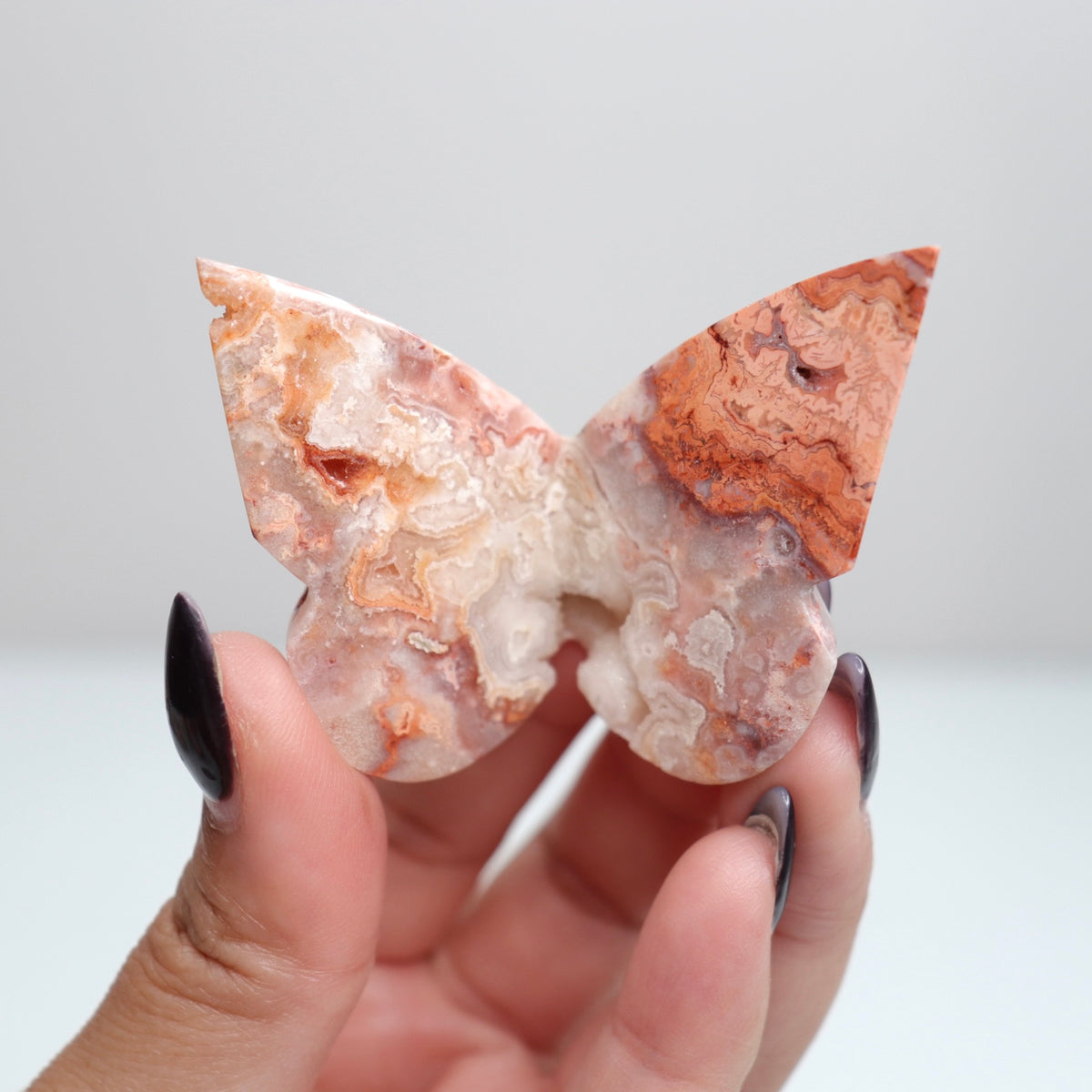 Crazy Lace Agate Butterfly | 26