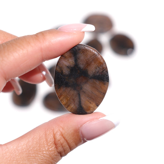 Chiastiolite Flat Stones