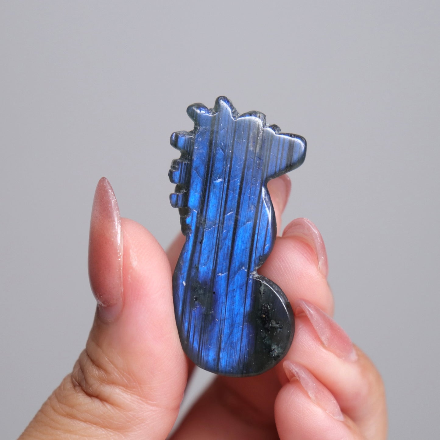 Labradorite Sea Horse | 3