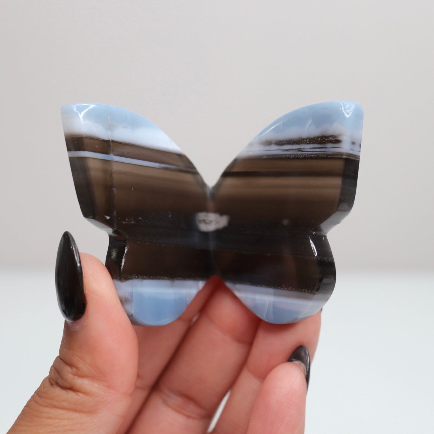 Blue Opal Butterfly 8