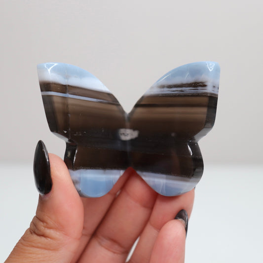 Blue Opal Butterfly 8