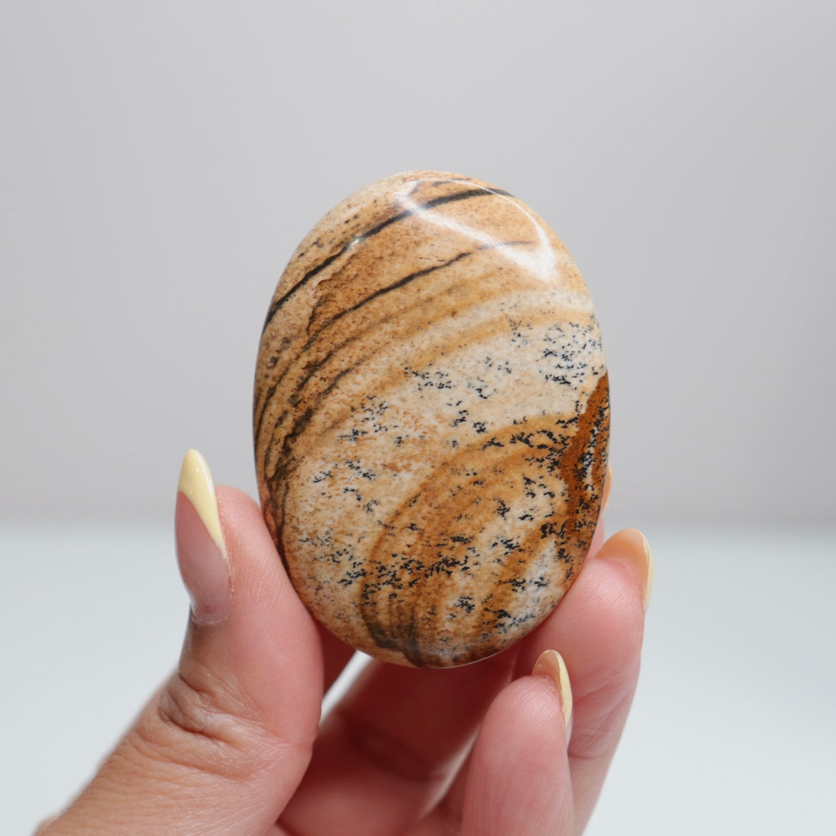 Picture Jasper Palm Stone 18