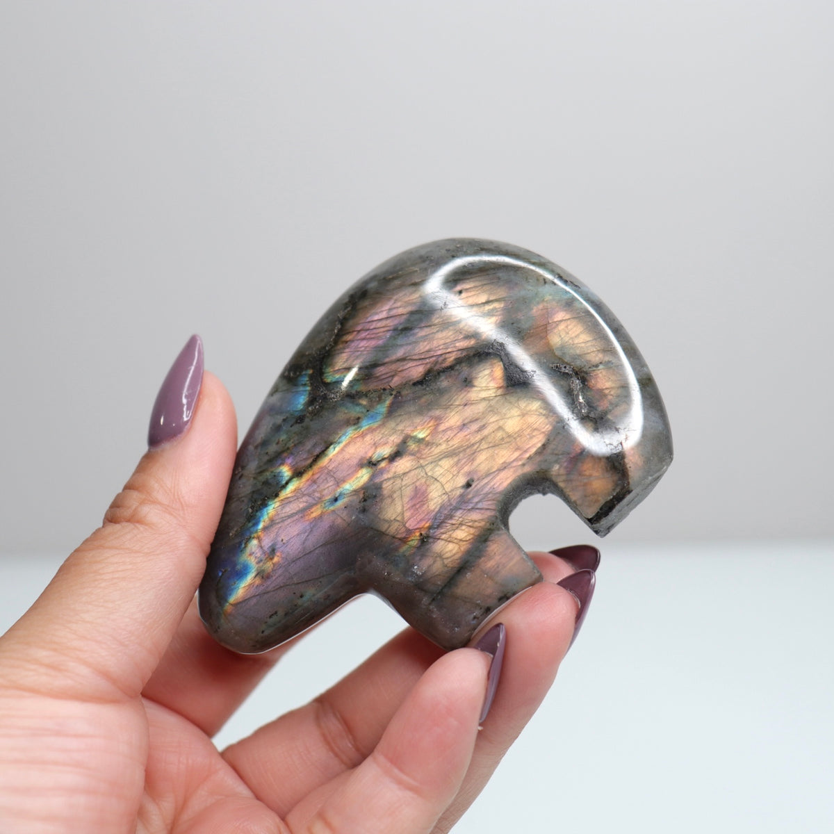 Labradorite Bear 3