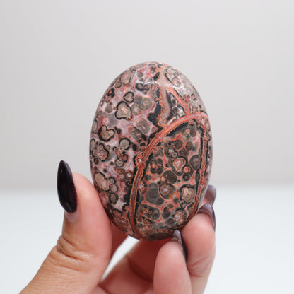 Leopard Skin Jasper Palm Stone | 29