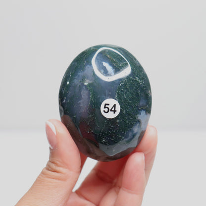 Moss Agate Palm Stone | 54