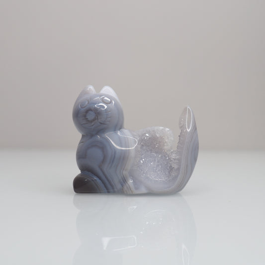 Druzy Agate Cat | F