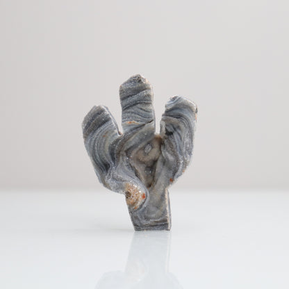 Chalcedony Cactus 41