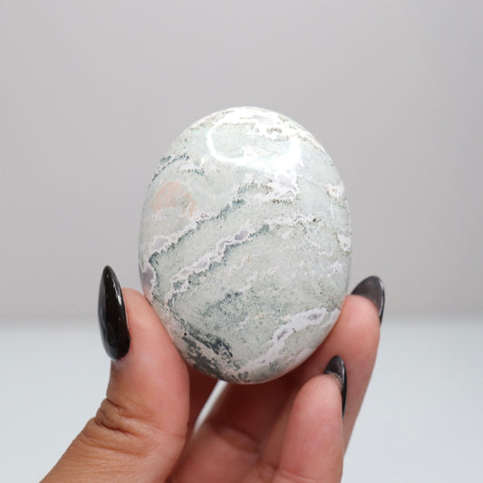 Unicorn Jasper Palm Stone 5