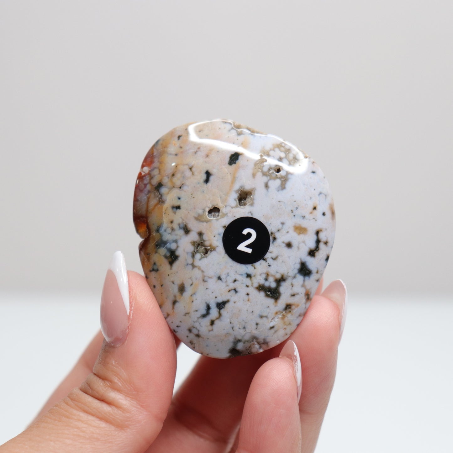 Sea Jasper Palm Stone | 2