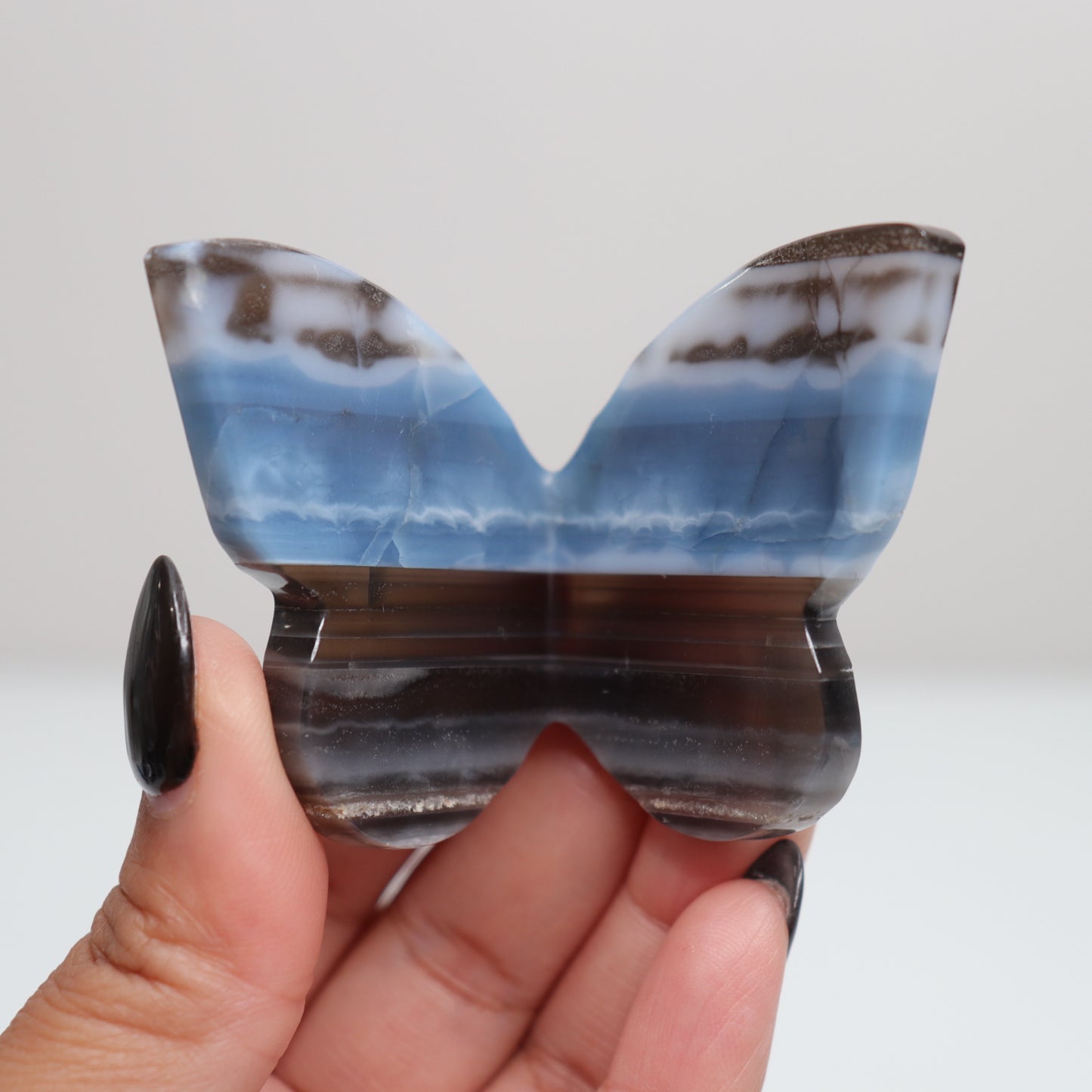 Blue Opal Butterfly 10