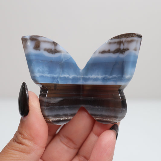 Blue Opal Butterfly 10