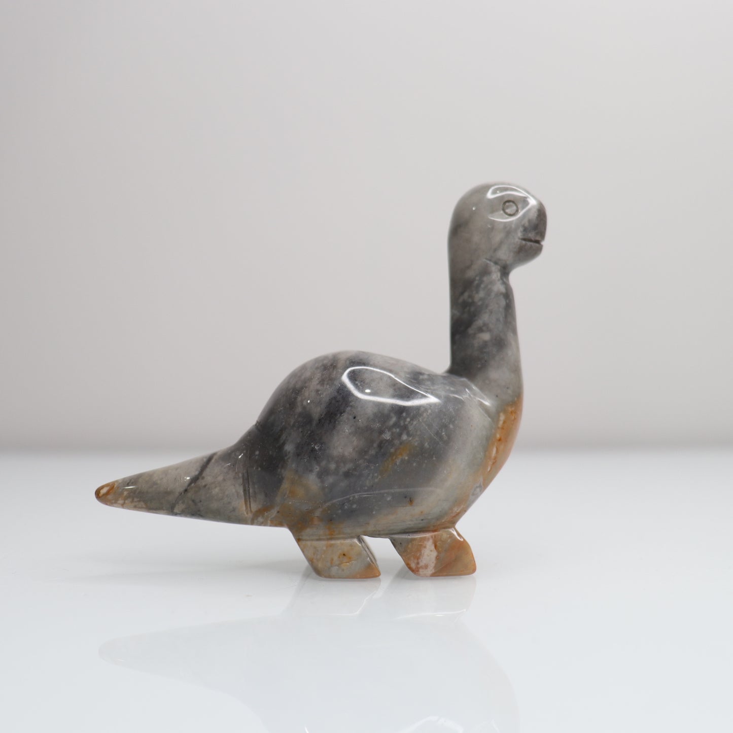 Polychrome Jasper Dinosaur B