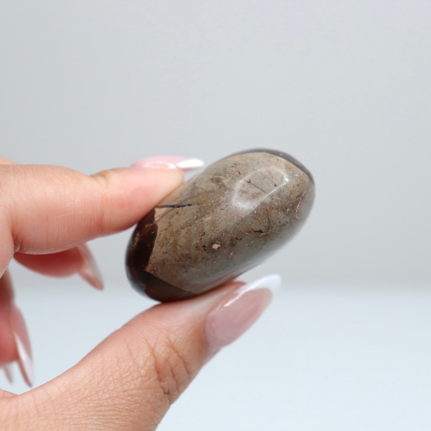 Septarian Palm Stone 71