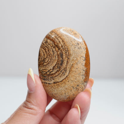 Picture Jasper Palm Stone 7