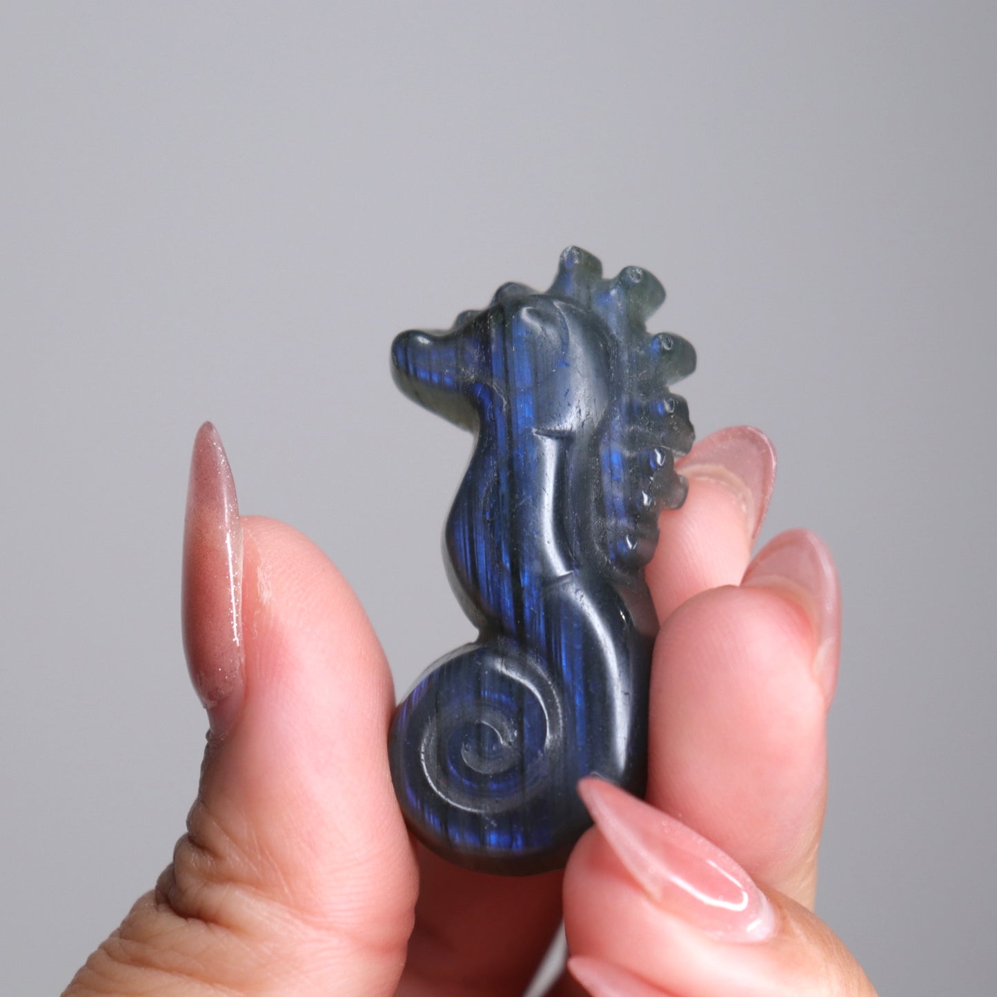 Labradorite Sea Horse | 3