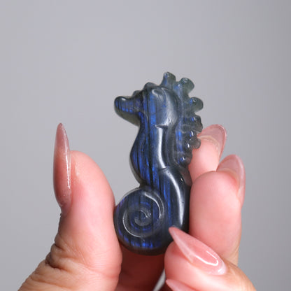 Labradorite Sea Horse | 3