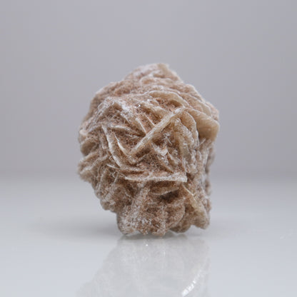 Desert Rose Cluster | 2