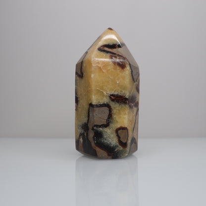 Septarian Tower | 1