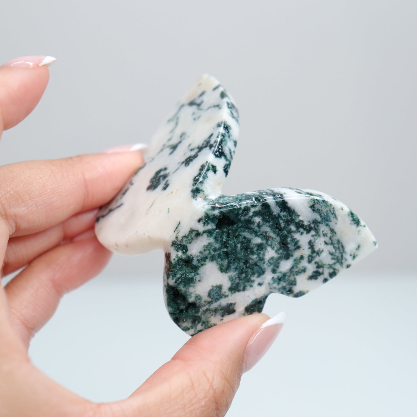 Tree Agate Butterfly A