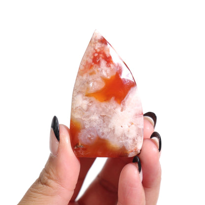 Carnelian x Flower Agate Freeform | 3