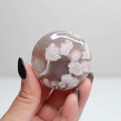 Flower Agate Round Palm | 5