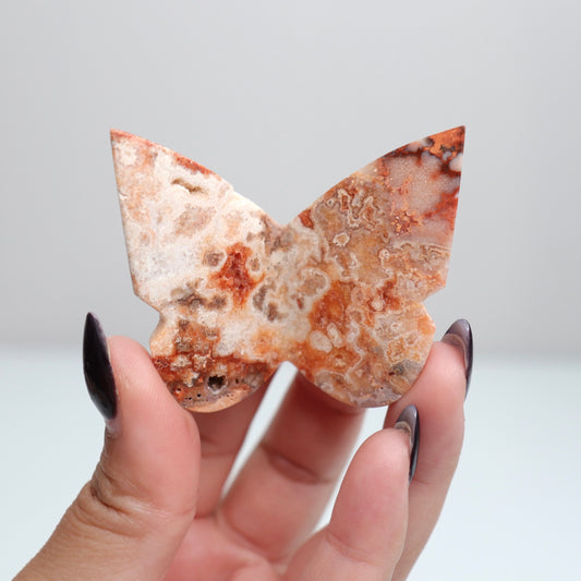 Crazy Lace Agate Butterfly | 30