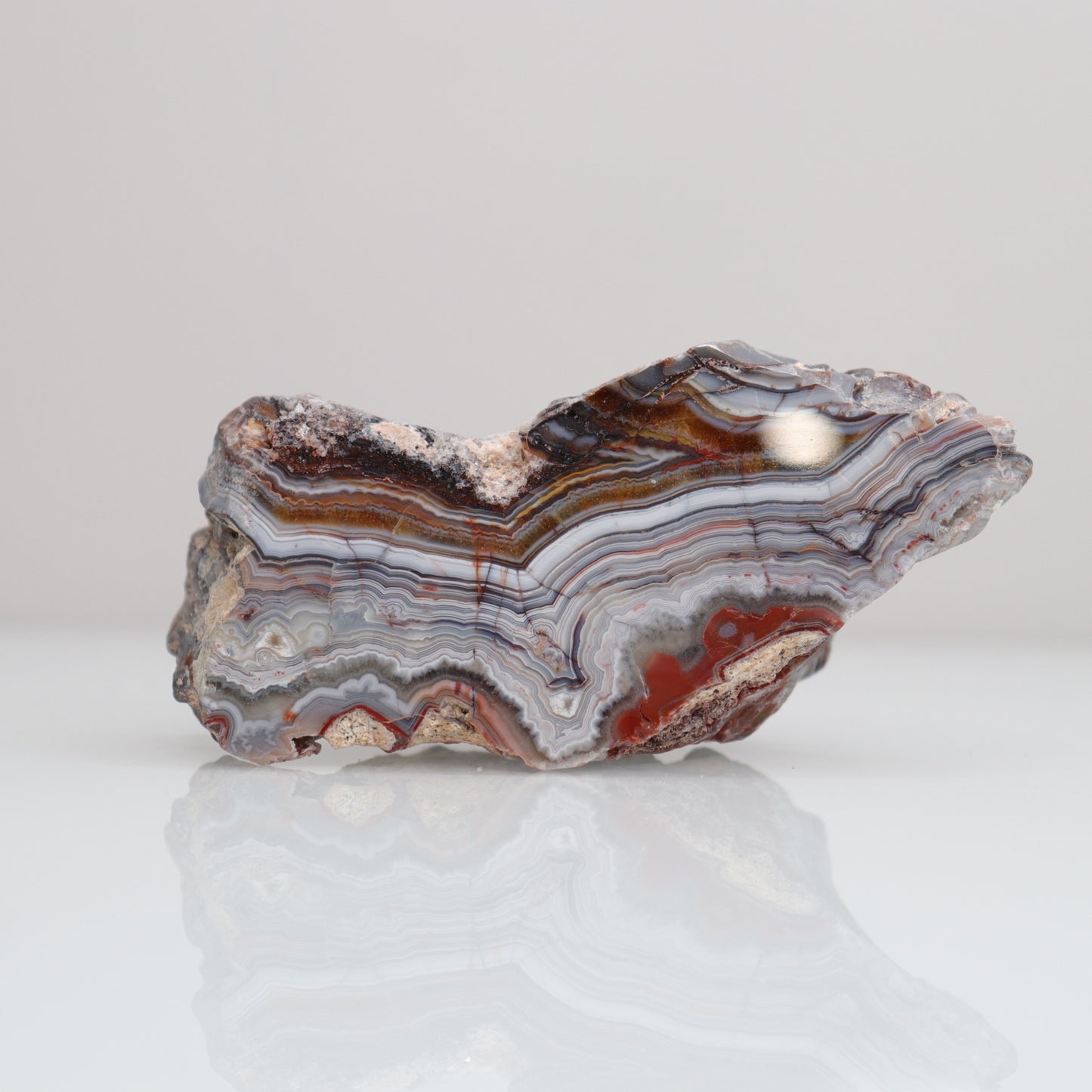 Laguna Lace Agate | F