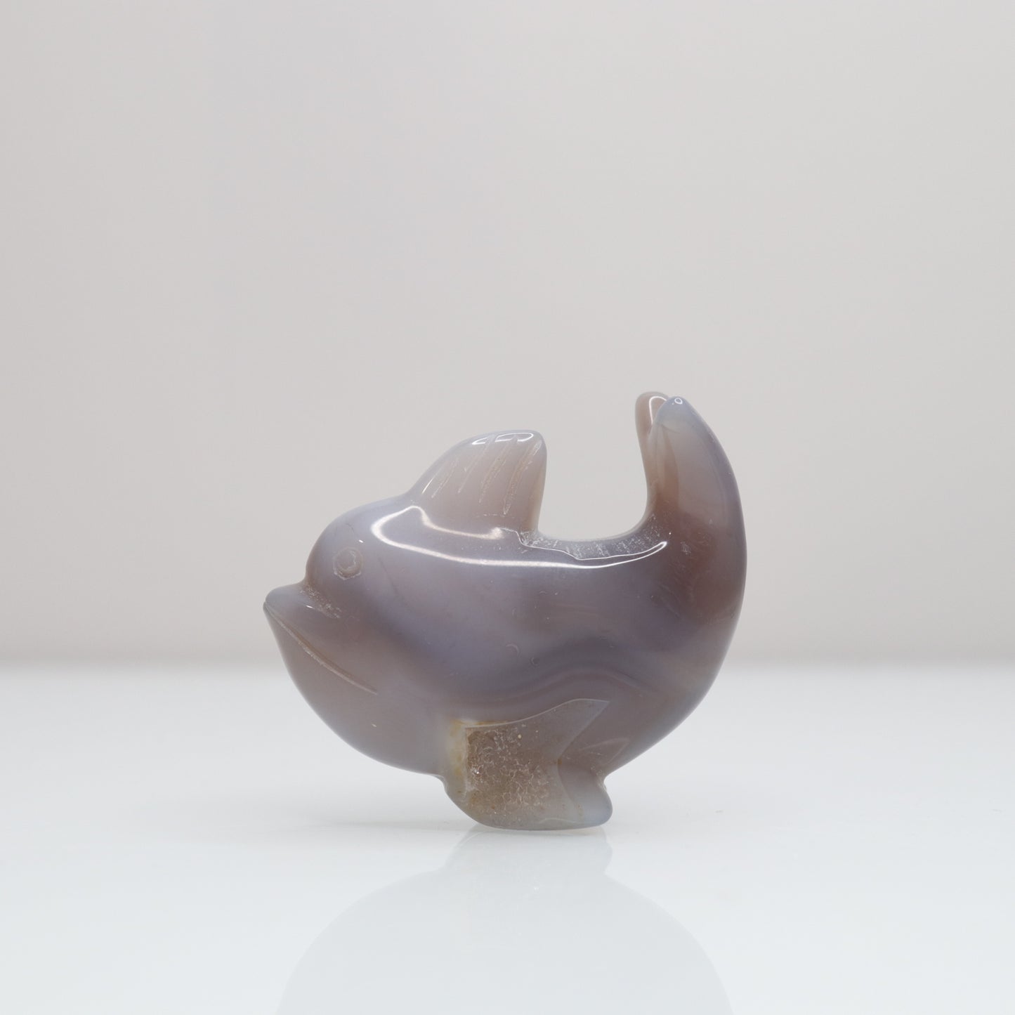 Agate Dolphin | 4