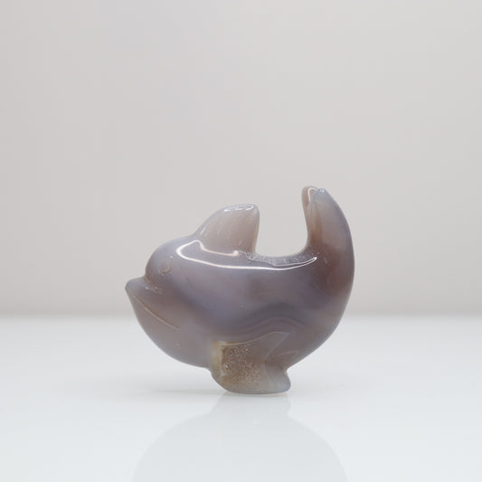 Agate Dolphin | 4