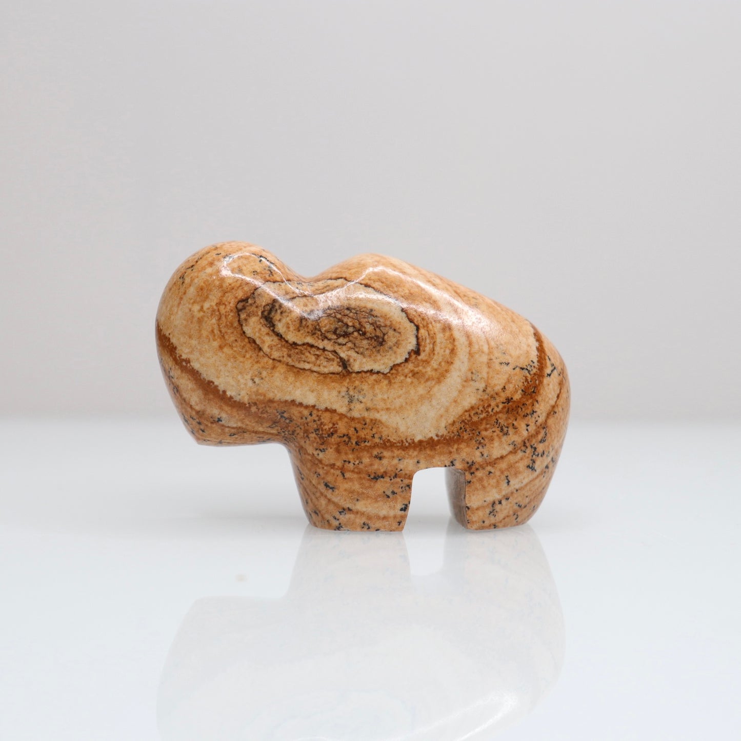 Picture Jasper Bison 4