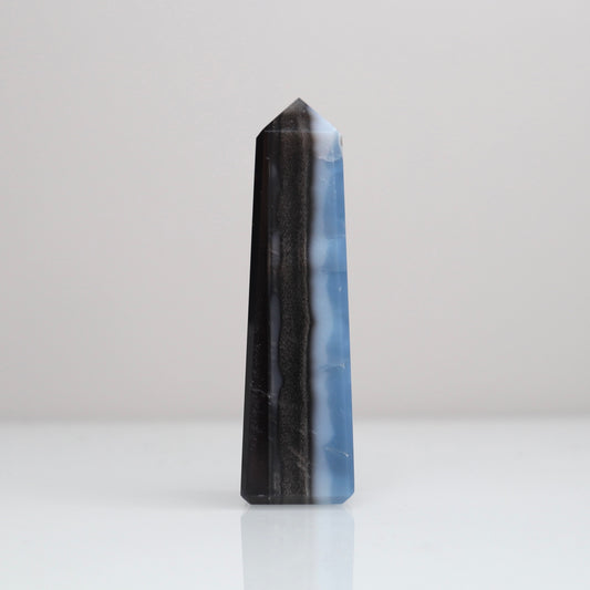Blue Opal Tower 158