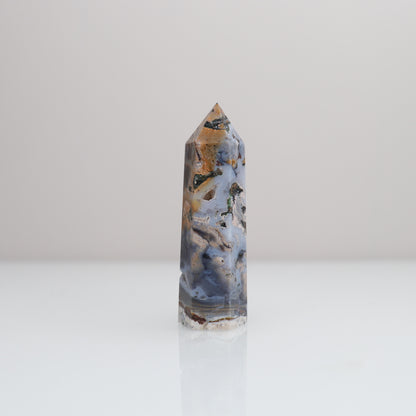 Ocean Jasper Tower | 81