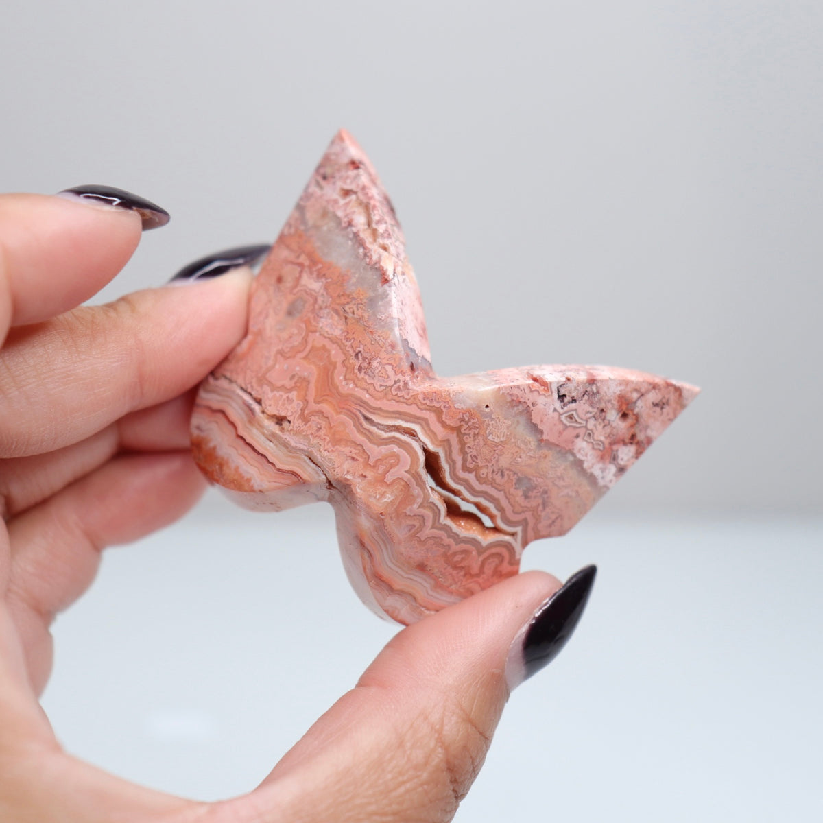 Crazy Lace Agate Butterfly | 17