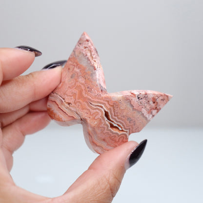 Crazy Lace Agate Butterfly | 17