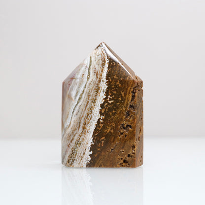 Ocean Jasper Tower | 111