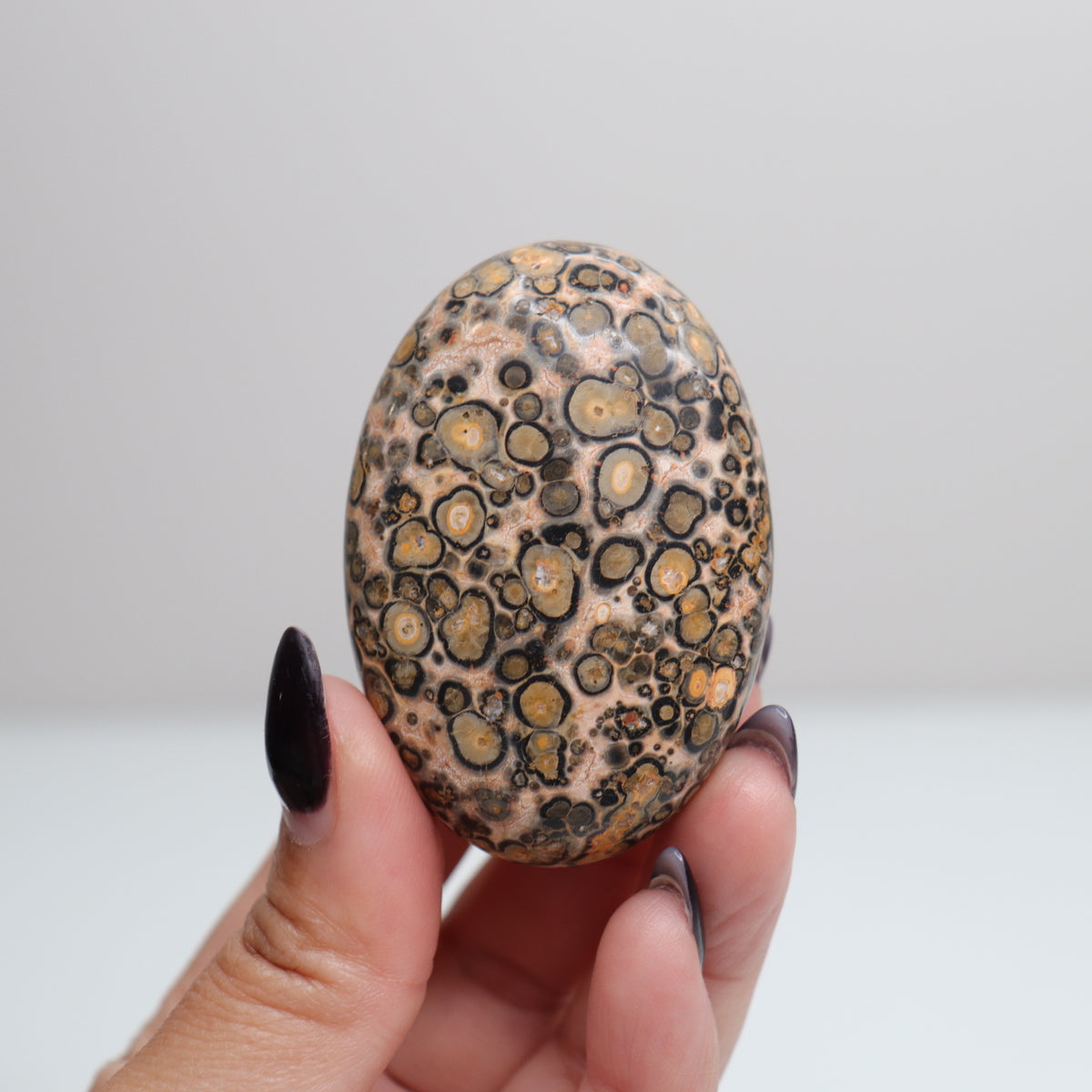 Leopard Skin Jasper Palm Stone | 21