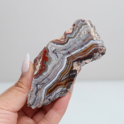 Laguna Lace Agate | F