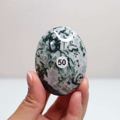 Moss Agate Palm Stone | 50