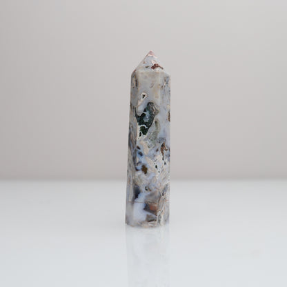 Ocean Jasper Tower | 79