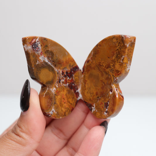 Cobra Jasper Butterfly 1