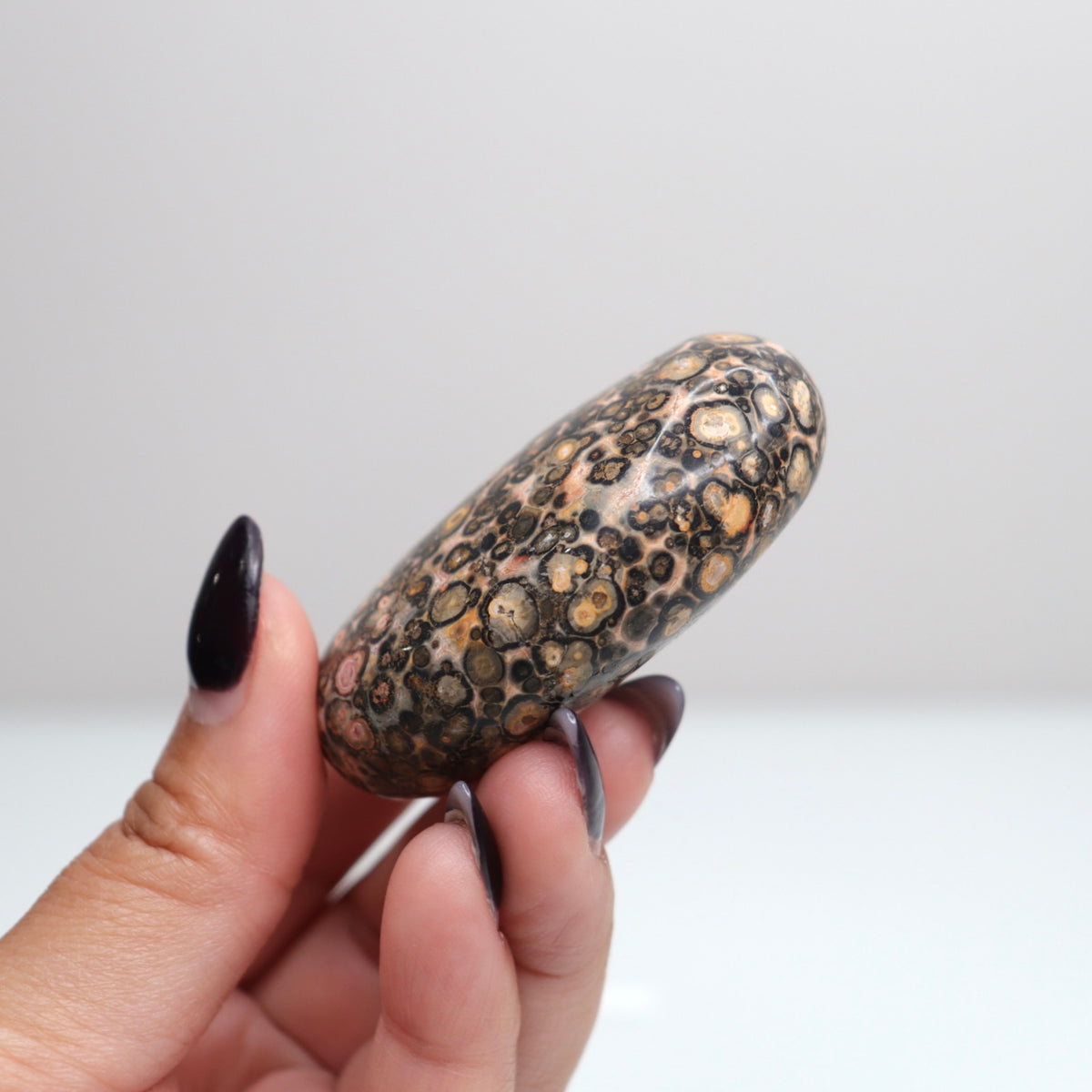 Leopard Skin Jasper Palm Stone | 22