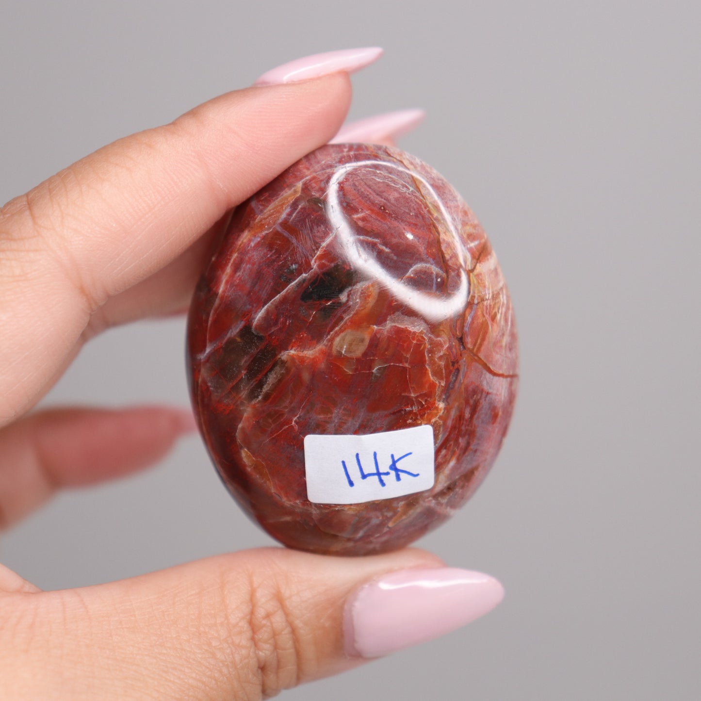 Petrified Wood Palm Stone | 2