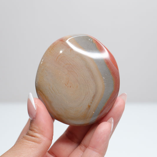Polychrome Jasper Palm Stone | 23