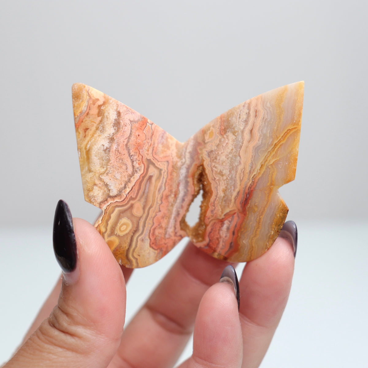 Crazy Lace Agate Butterfly | 6