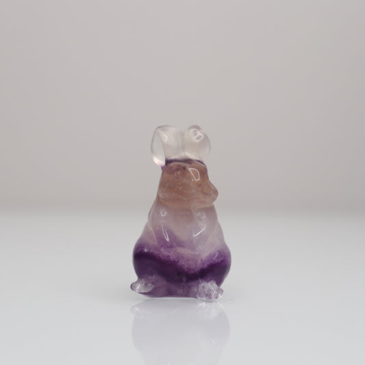 Fluorite Bunny | 5