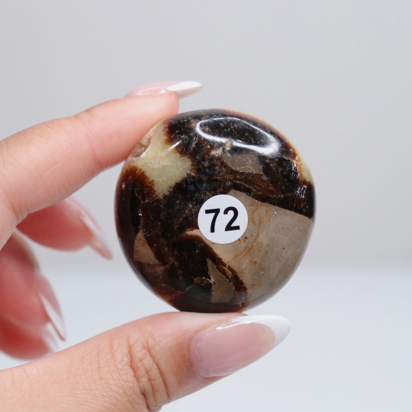 Septarian Palm Stone 72