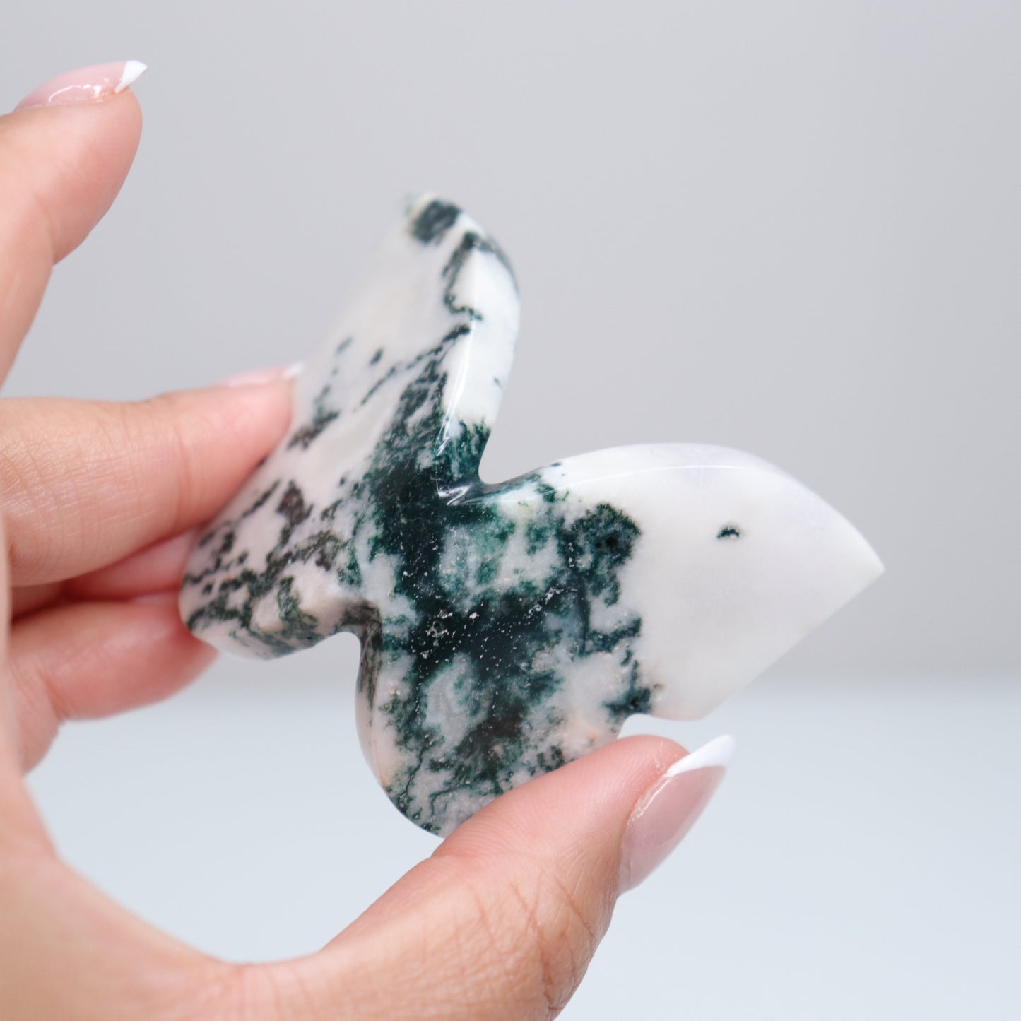 Tree Agate Butterfly J