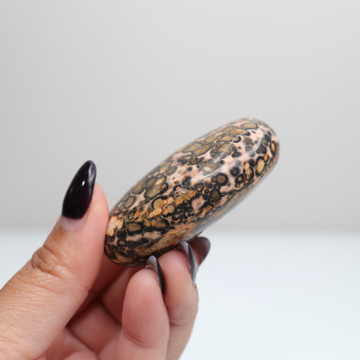 Leopard Skin Jasper Palm Stone | 24